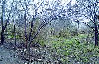 Uprz�tni�to �mieci