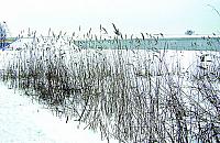 Jeziorzec z przer�blami