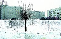 Zostawcie nam ziele�