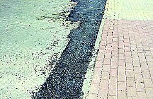 Spartaczony remont Puszczy Solskiej