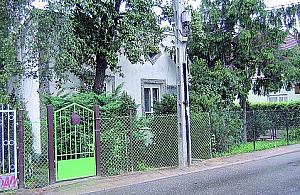 Sąsiad hoduje szczury