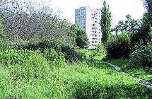 Zieleń czy zabudowa?