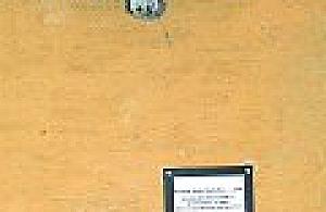 Wolą płacić kary. Wind nie wymienią?