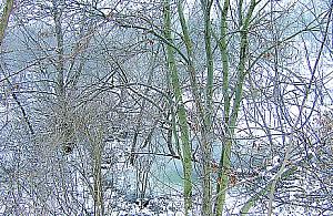 Osiedle w miejscu glinianek