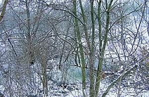 Kryzys uratował glinianki