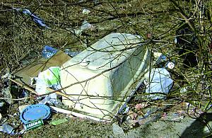 Elektrośmieci na pasie zieleni