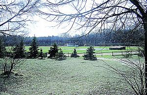 Bo pieski brudzą...