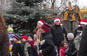 Choinka pod choinkę