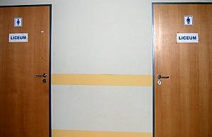 Absurd, groteska czy debilizm?