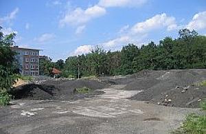 Uciążliwy destrukt