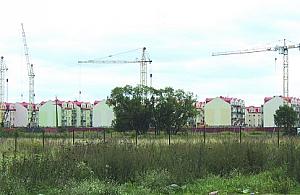 Dajcie nam autobusy!