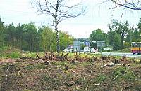 Skandal urzędniczej niemocy