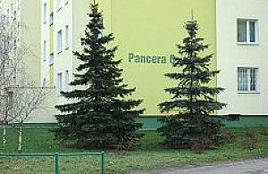 Świątecznie ponura Białołęka