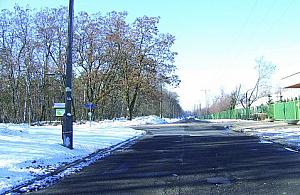 Cmentarz dla zwierząt w Choszczówce?