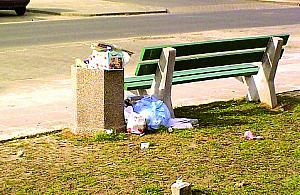 Niedzielne śmietniki