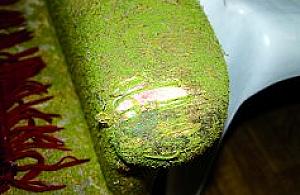 Kościół na celowniku