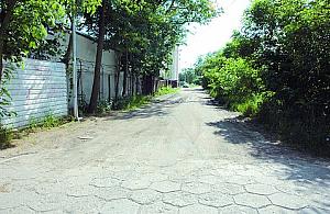 Lepsza i gorsza Laurowa