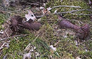 Kolejne żelastwa w lesie