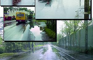 Kogo można utopić w kałuży?