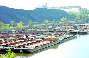 Białołęckie paskudy