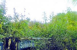 Burmistrz kontra Kredyt Bank