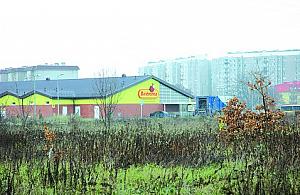 Byle szybciej, byle asfalt