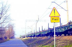 Zawiślańska chce chodnika