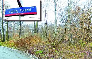 Myślenie o parku nie do pomyślenia?