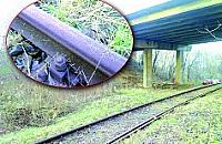 Wiadukt nad krzaczkami