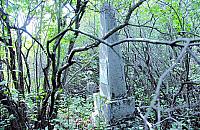 Zielone światło dla lapidarium?