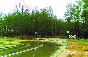 Miliony na park, zero na ławki