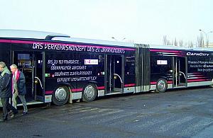 Szał na dwudziestometrowca