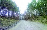 Strach w lasku