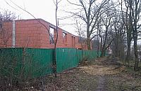 Ziele� dalej znika