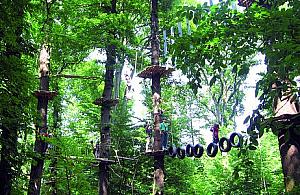 Milion czterysta na park