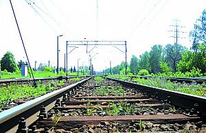 Kolej - przebudowa bez głowy