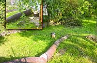 �cinamy wed�ug planu