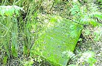 Ocalić od zapomnienia...