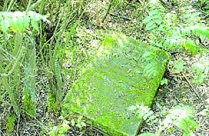 Ocalić od zapomnienia...