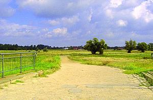 Burmistrz boi się mafii