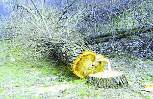 Most, czyli czysty Gierek