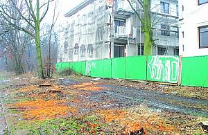 Wycinka przy Milenijnej