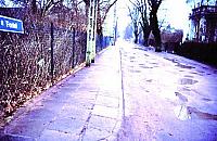 Radny be, radna cacy