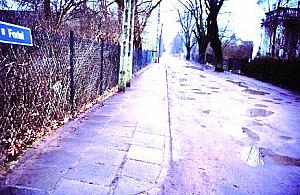 Radny be, radna cacy