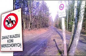 Koń quadowi nierówny