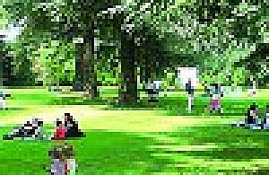 Apel o park dla mieszkańców osiedla Derby