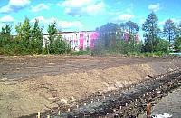 Wycięli topole. Posadzą nowe