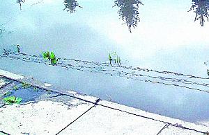 Brudny prysznic na Białołęckiej