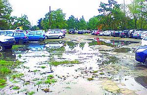 Lata mijają, a bajoro trwa