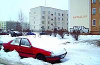 Bezdomny nie do ruszenia?